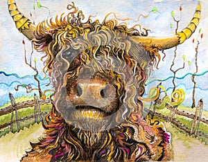 Highland cow with curly hair art photo