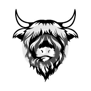 Highland cow head design on white background. Farm Animal. Cows logos or icons. vector illustration