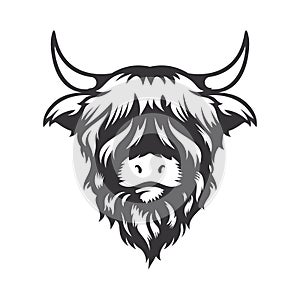 Highland cow head design on white background. Farm Animal. Cows logos or icons. vector illustration