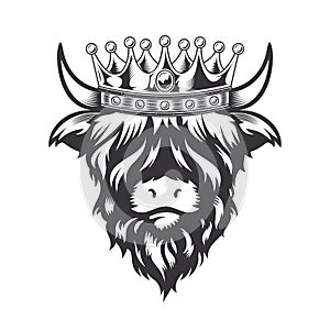 Highland cow King with crown head design on white background. Farm Animal. Cows logos or icons. vector illustration