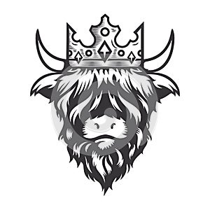 Highland cow king head design with royalty crown. Farm Animal. Cows logos or icons. vector illustration