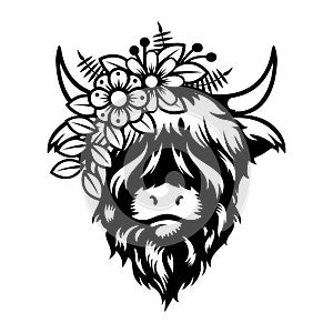 Highland cow Lady head design on white background. Farm Animal. Cows logos or icons. vector illustration