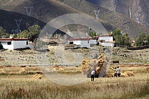 Highland farmers working in the fields