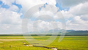 The highland meadows with white cloud and blue sky.