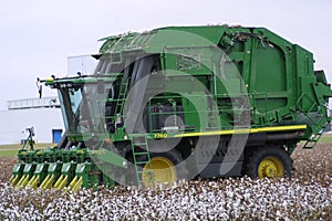 Missouri Cotton 2019 XI