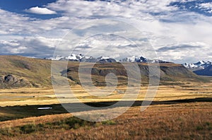 A highland river valley with yellow grass on a background of snow covered mountains and glaciers