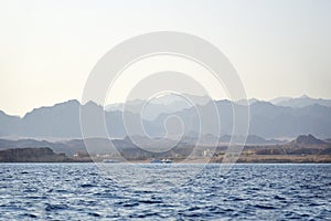 Highland Sea Coastline in Egypt