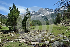 Highland valley with a glacial torrent