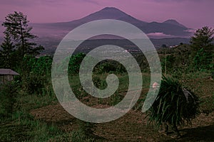 A highlands farmer carying carrying grass with beauty mountain landscape