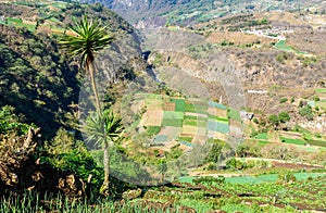 The highlands of Guatemala, close to the city of Quetzaltenango - Xela, Guatemala photo