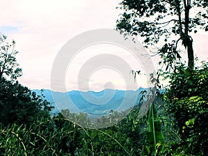 Highlands landscape, Malaysia