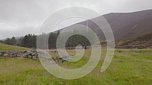 Highlands Rocks | Pine Trees | Hiking, Scotland