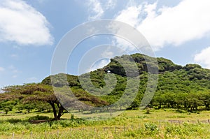 Highlands of Salalah, Dhofar, Oman