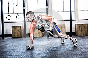 Highlighted body of strong man lifting weights at gym