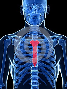 Highlighted breast bone