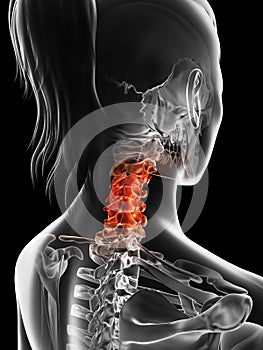 Highlighted cervical spine