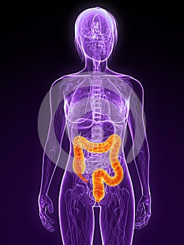 Highlighted colon