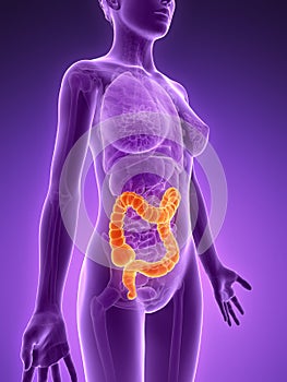 Highlighted colon