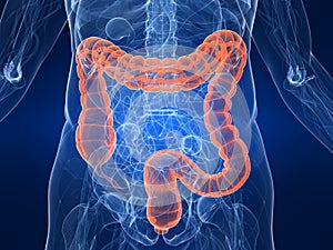 Highlighted colon photo