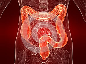 Highlighted colon
