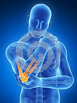 Highlighted elbow joint photo