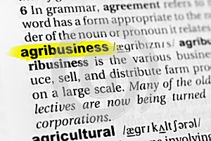 Highlighted English word `agribusiness` and its definition in the dictionary