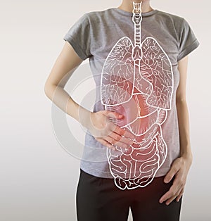 Highlighted internal organs with some illness
