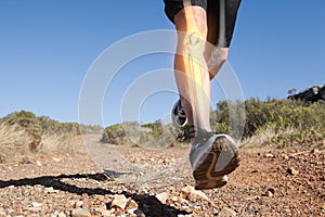 Highlighted leg bones of jogging man