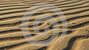 Are highlighted by the low angle light casting gentle shadows and