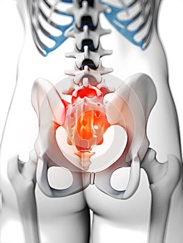 Highlighted sacrum