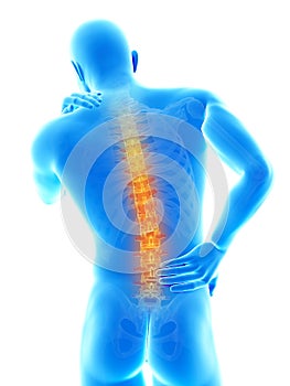 Highlighted spine photo
