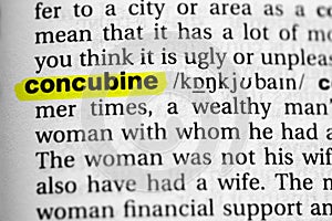 Highlighted word concubine concept and meaning photo