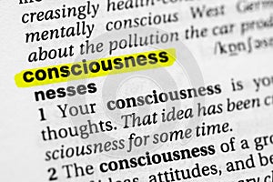 Highlighted word consciousness concept and meaning