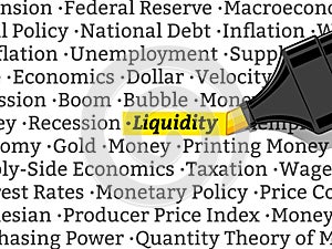 highlighter highlights the word liquidity vector