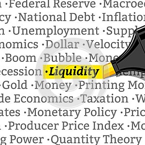 highlighter highlights the word liquidity vector