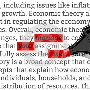 highlighter manage your risk vector