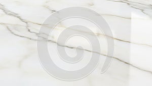 Highlights the marble s pristine quality and the interplay of light and