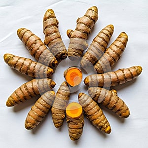 Highlights the natural variations in shape and size among the