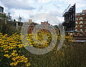 Highline Park View, NYC