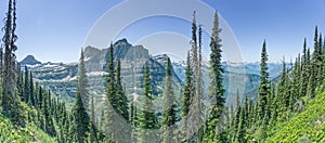 Highline Trail Panoramic - Glacier National Park photo