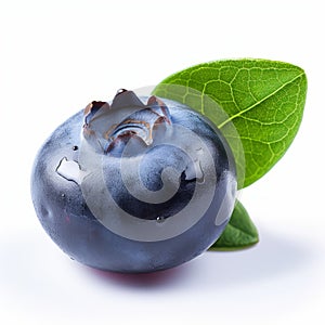 Highly Detailed Blueberry On White Background With Creative Commons Attribution