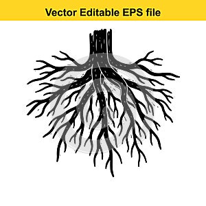 a detailed black tree root system on a white background in a vector editable format