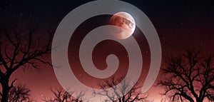 A highly detailed view of a lunar eclipse, with the Moon in a deep red