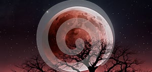 A highly detailed view of a lunar eclipse, with the Moon in a deep red