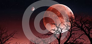 A highly detailed view of a lunar eclipse, with the Moon in a deep red