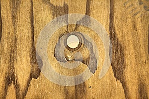 Highly Detailed Wood Grain photo