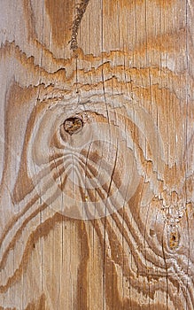 Highly Detailed Wood Grain with wooden knob and striations