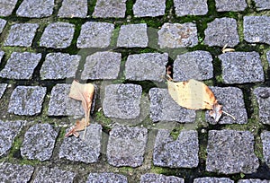 Highly detaled close up view on cobblestone textues with perspective in high resolution