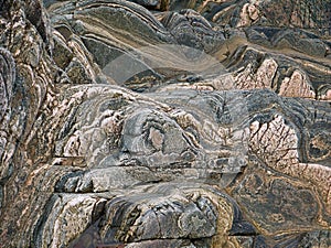 Highly folded stratified layers of rock at sea level on the Ness of Hillswick, Northmavine, Shetland, UK