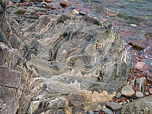 Highly folded stratified layers of rock at sea level on the Ness of Hillswick, Northmavine, Shetland, UK